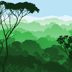 Fototapeta premium Forest Landscape