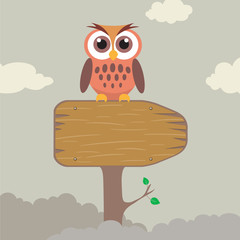 Owl on Direction Sign
