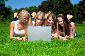 Fototapeta premium Business, beauty and nature