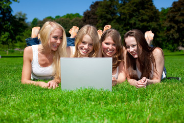 Fototapeta premium Business, beauty and nature