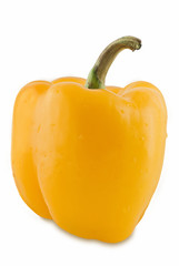 Yellow Sweet Pepper