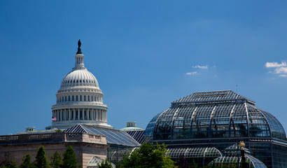 Fototapeta na wymiar Capitol Building framed by Botanic Gardens