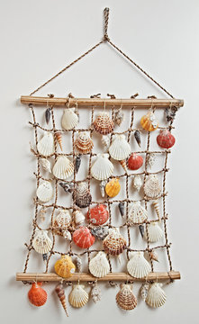 Sea Shell Decor