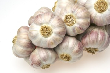 garlic