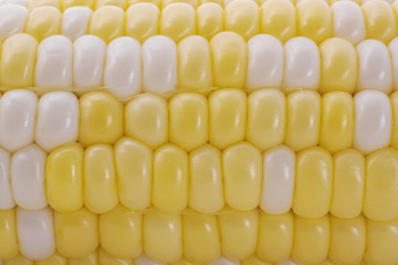 Corn close up