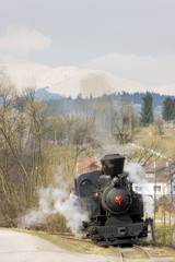 Fototapeta na wymiar steam locomotive n. 5, Ciernohronska Railway, Slovakia