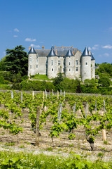 Fototapeta na wymiar Luynes Castle with vineyard, Indre-et-Loire, Centre, France