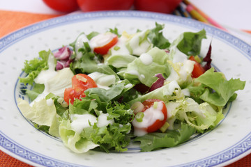 gemischter Salat