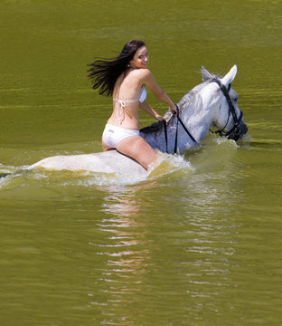 equestrian on horseback riding through water Stock-Foto | Adobe Stock