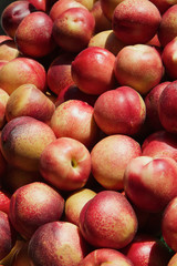 Nectarines Pile