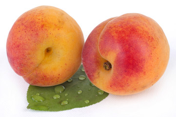Fresh apricot on white background