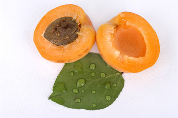 Fresh apricot on white background
