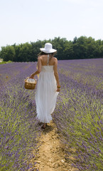 jeune femme qui se promène dans la lavande