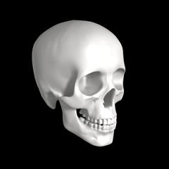 skull