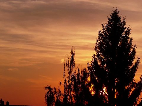 Abendstimmung