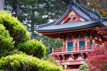 Japanese Tea Garden, Golden Gate Park, San Francisco