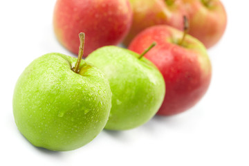 apples on the white background