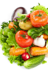 fresh vegetables on the white background