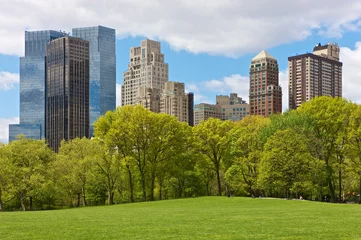 Foto auf Acrylglas Central Park NYC, Central Park view