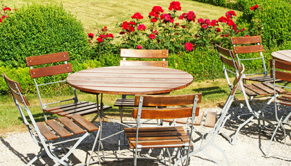 Summer in the Garden