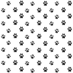 Paw Print