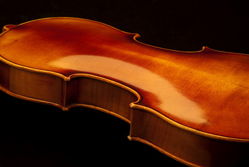 Back of a violin