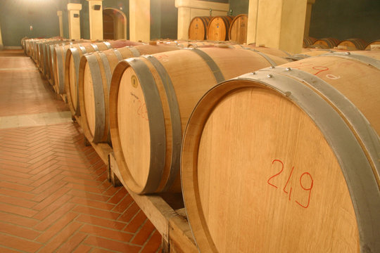 cantina in toscana