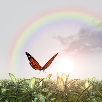 Landschaft mit Regenbogen und Schmetterling