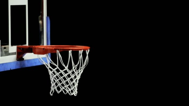 pallacanestro