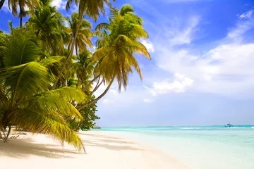 Crédence de cuisine en verre imprimé Caraïbes plage paradisiaque