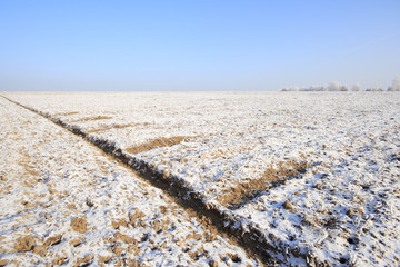 Fields in winter