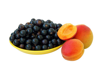 Black currant and apricots