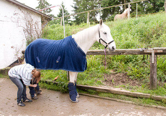 Horse in the blanket and boots.