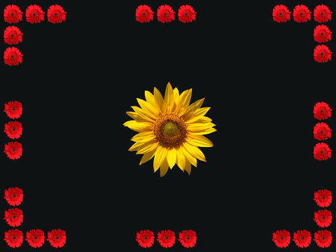 Composition with red and yellow flowers