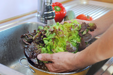 Salat waschen