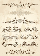 Set of floral elements for design