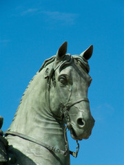 T&ecirc;te de cheval