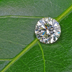 Diamant auf einem grünen Hintergrund