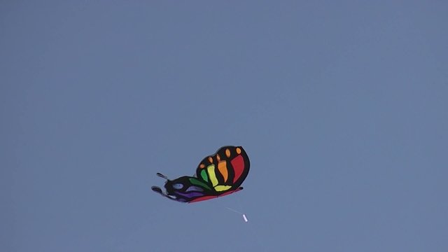 COMETA EN FORMA DE MARIPOSA