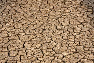 Trockene Erde