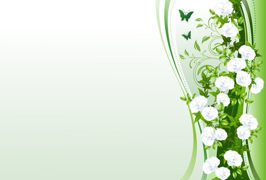 Hintergrund "Rosen" (mit Clippfad)
