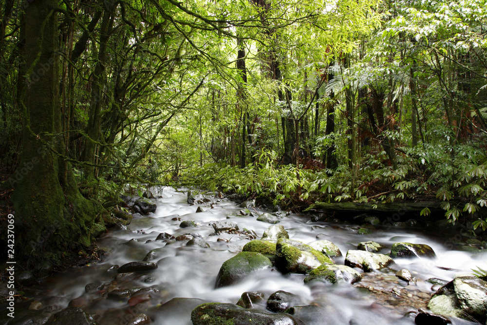 Wall mural stream