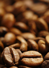 coffee bean background