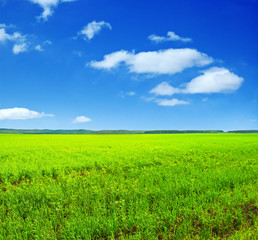 Fototapeta premium landscape