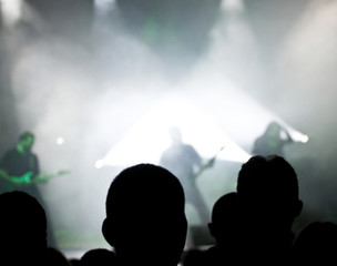 Crowd at a concert