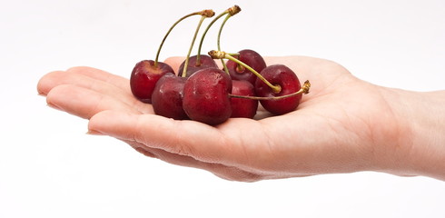 Hand holding red cherry