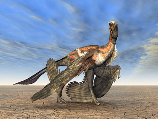 Microraptor © Michael Rosskothen