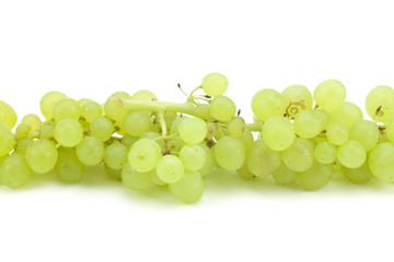 branch of green grapes