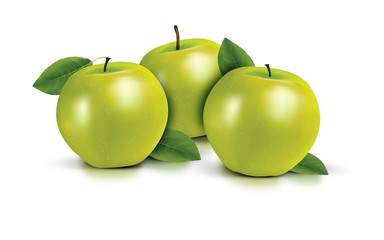 Illustration of green apples