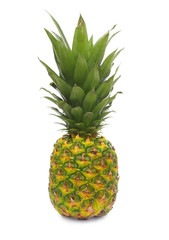 Pinapple fruit
